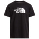 The North Face Ανδρική κοντομάνικη μπλούζα Evolution Half Dome Regular T-Shirt